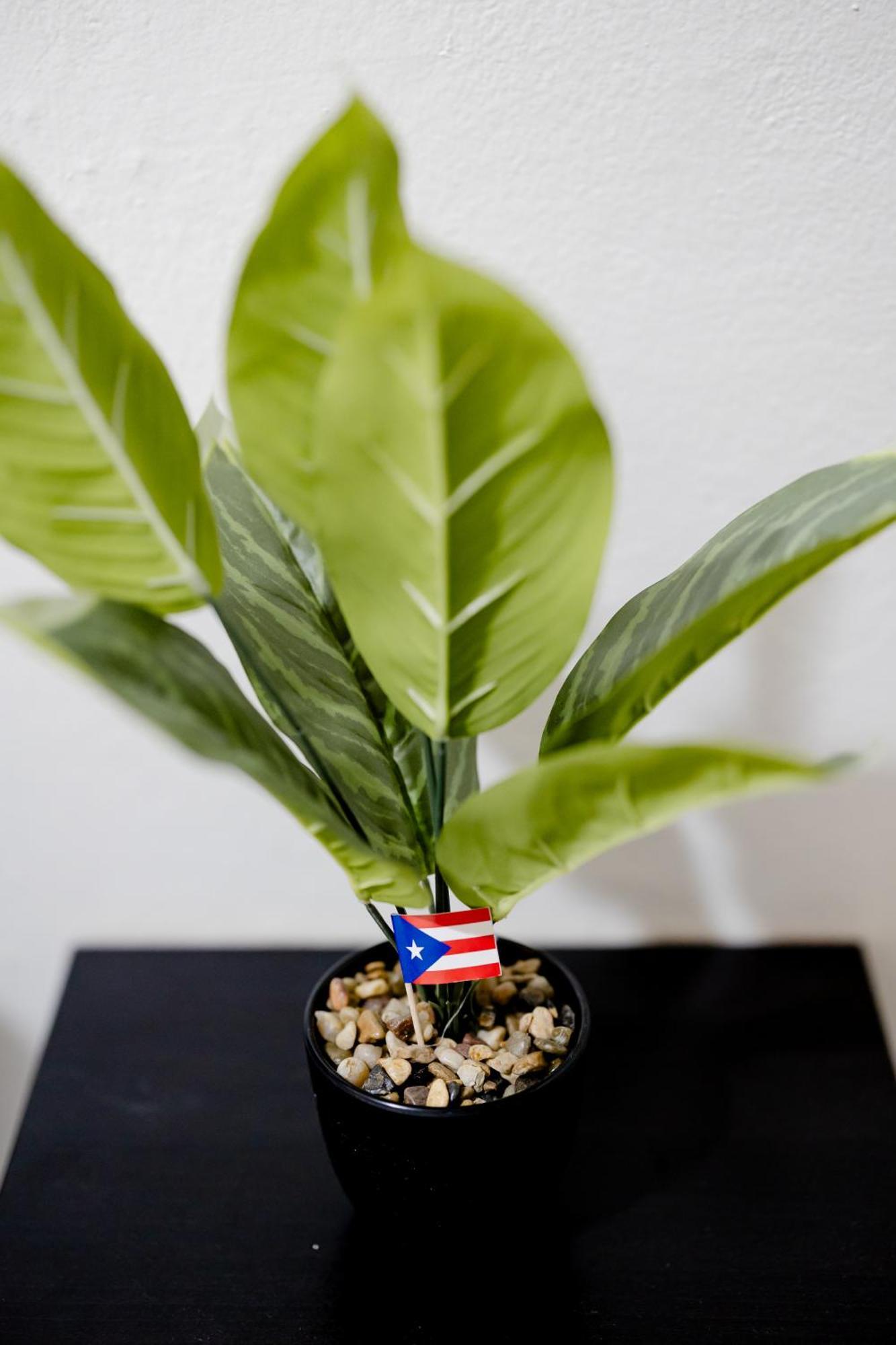 Casa Luquillo Apartment ฟาจาร์โด ภายนอก รูปภาพ
